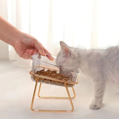 Gamelle chat surélevée transparente ergonomique