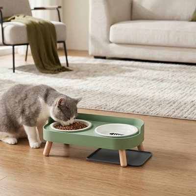 Gamelle Chat surélevée vert et chat qui mange