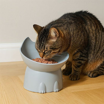 Gamelle Chat surélevée vert et chat zébrer