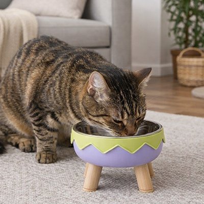 Gamelle chat surélevée violet et jaune