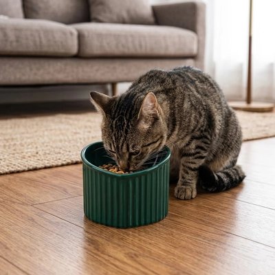 Gamelle Chat surélevée