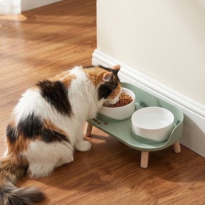 Gamelle Chat vert et blanc