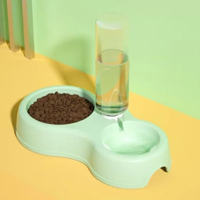 Gamelle chat verte combiner eau