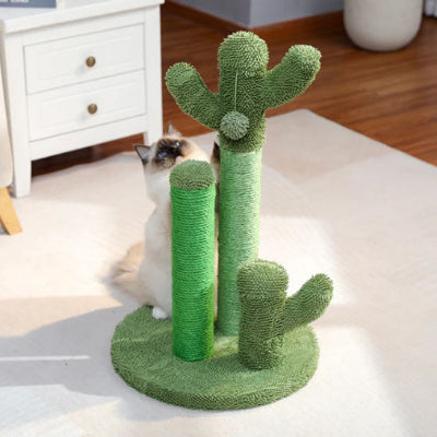 griffoir chat cactus chambre