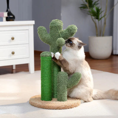 griffoir chat cactus chat heureux