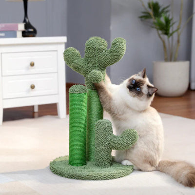 griffoir chat cactus chat