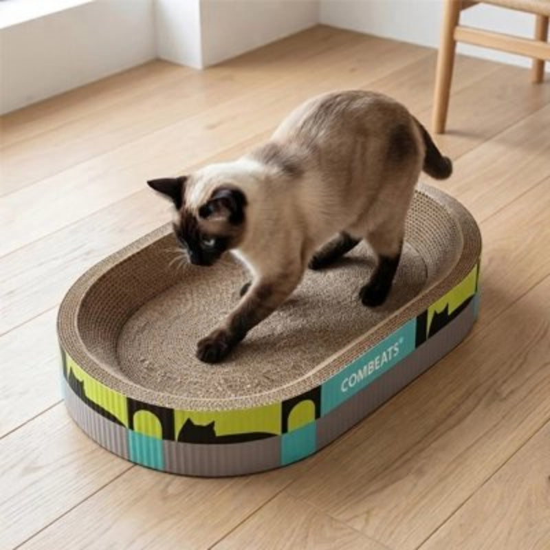 Griffoir Chat cuisine chat siamois