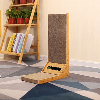 griffoir chat dans une pièce maison