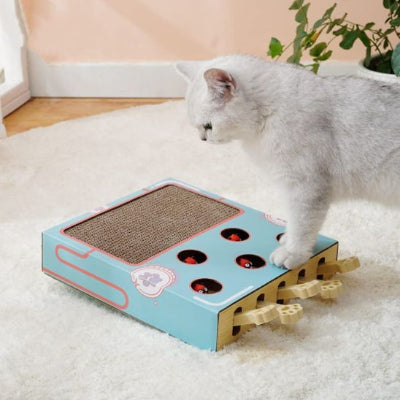 griffoir chat jeux chat blanc