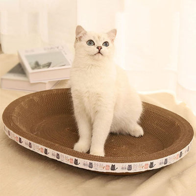 griffoir chat ovale chat blanc assit