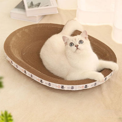 griffoir chat ovale chat blanc coucher regardant vers maitre