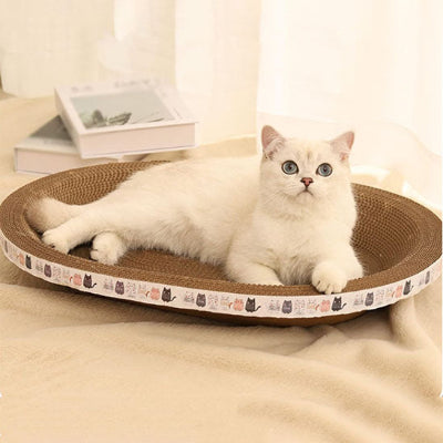 griffoir chat ovale chat blanc coucher