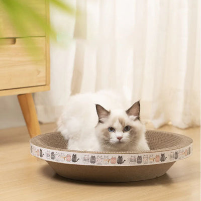 griffoir chat rond chat faisant griffes