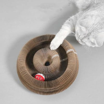 griffoir pour chat avec chat gris avec balle rouge