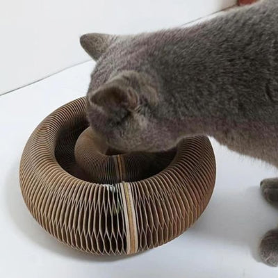 griffoir pour chat avec chat tout gris écologique