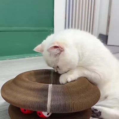 griffoir pour chat circulaire 