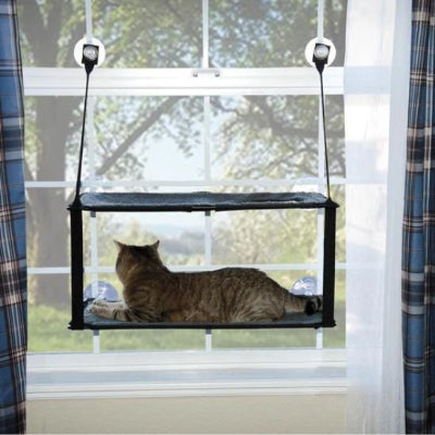 hamac chat fenetre double chat zebre