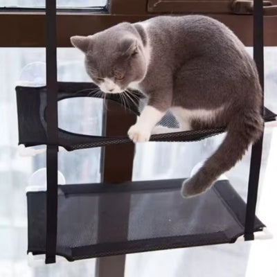 hamac chat fenetre double étage chat gris