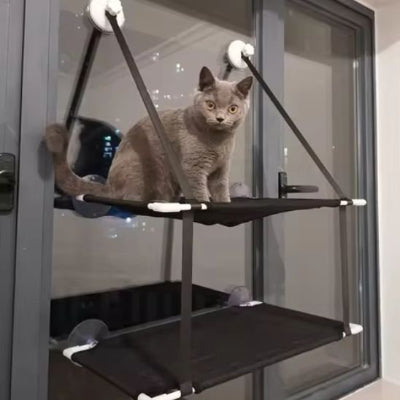 hamac chat fenetre double un chat gris