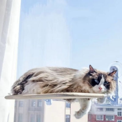 hamac chat fenetre installation tres facile