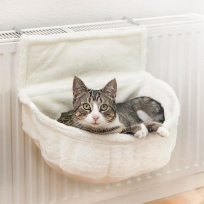 hamac pour chat blanc avec chat