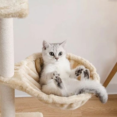 hamac pour chat comique