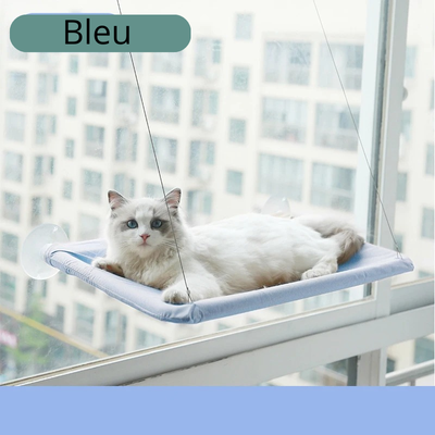 hamacpour fenetre bleu