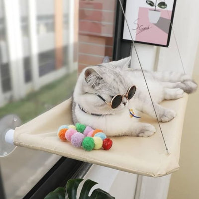 hamac pour fenêtre chat lunette jouet