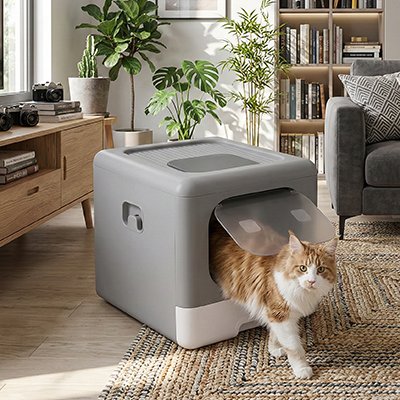 Maison de toilette pour Chat avec chat roux et blanc