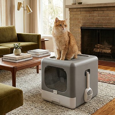 Maison de toilette pour Chat avec chat roux sur le dessue