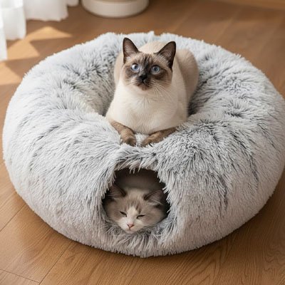 Niche pour chat deux chats beige