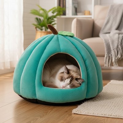 Niche pour chat turquoise avec chat gris