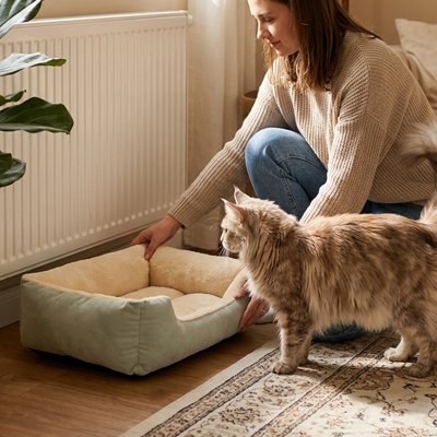 Panier chat avec chat poile long