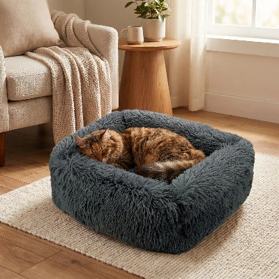 panier chat gris fonce et chat calico