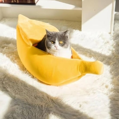 Panier pour chat banane chat gris