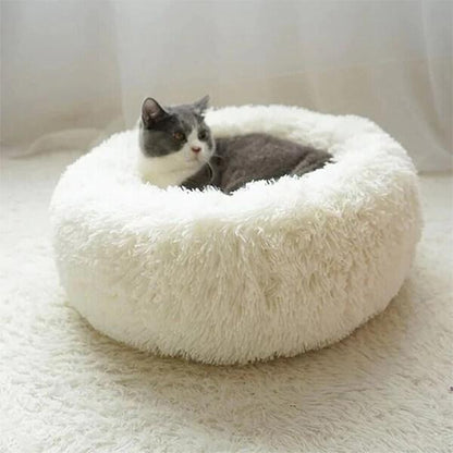 topconfort-coussin chat blanc